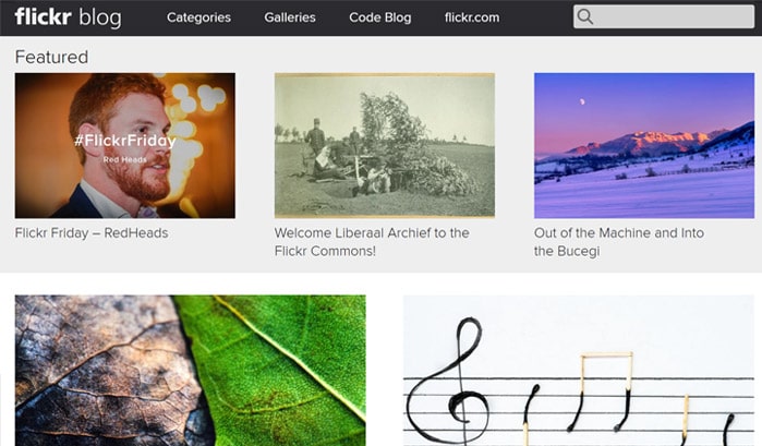 flickr blog wordpress site