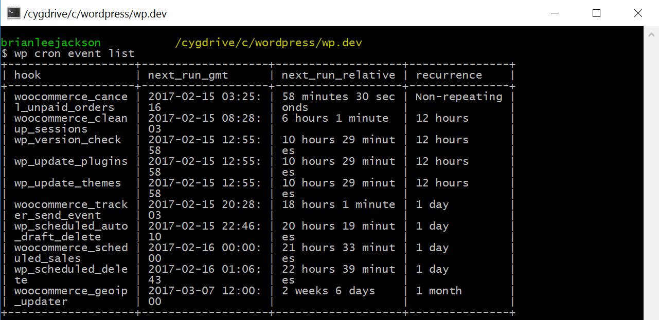 WP-Cron Event lijst