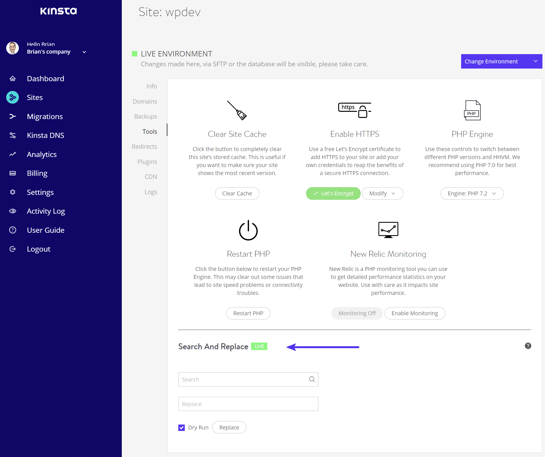 Kinsta search and replace tool Kinsta zoek en vervang tool