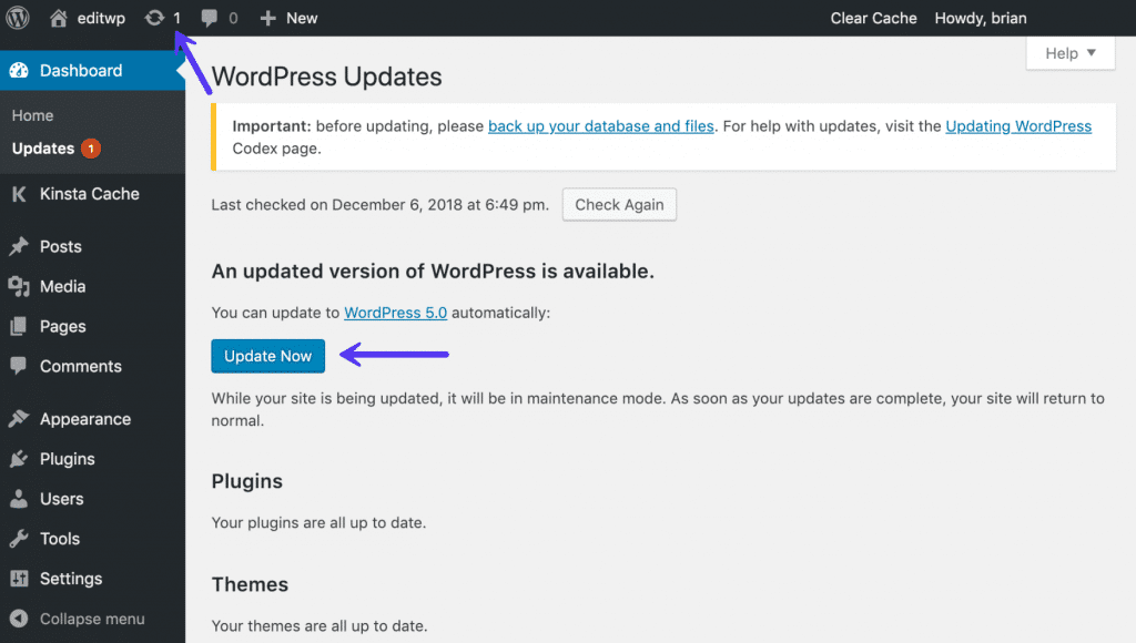 Updaten naar WordPress 5.0