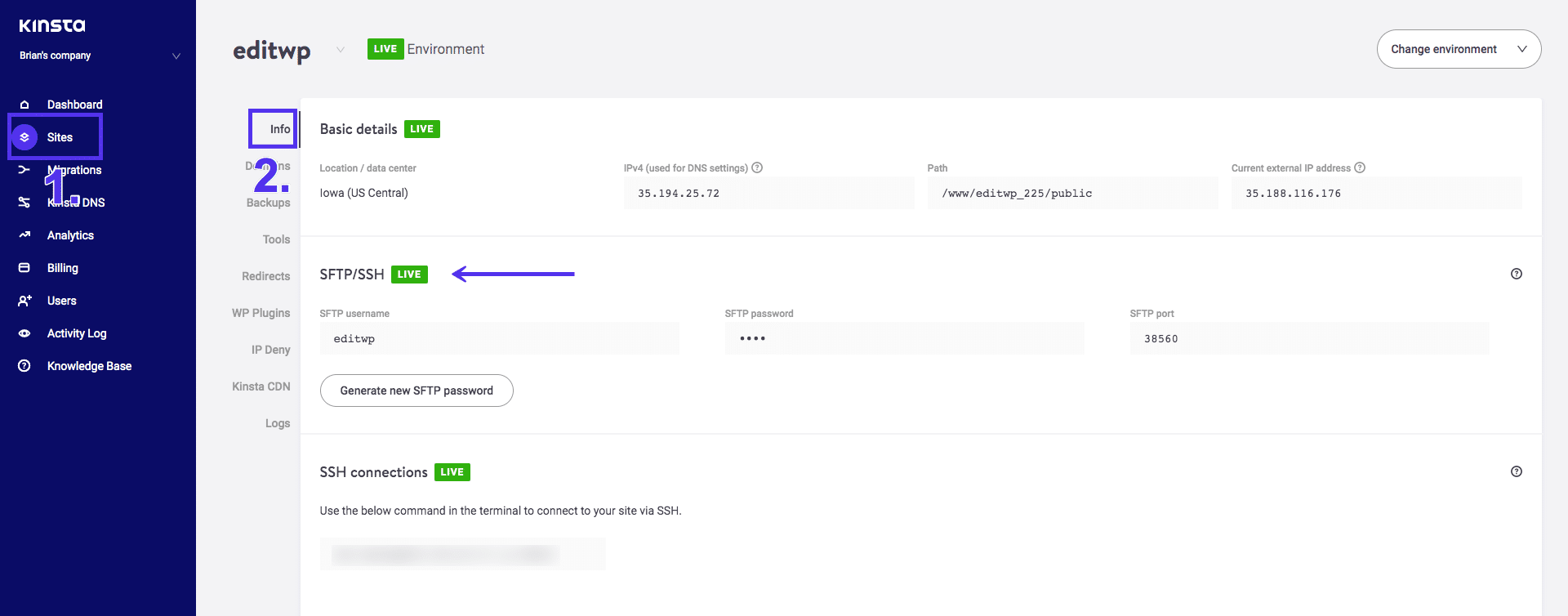 Website-gegevens in MyKinsta