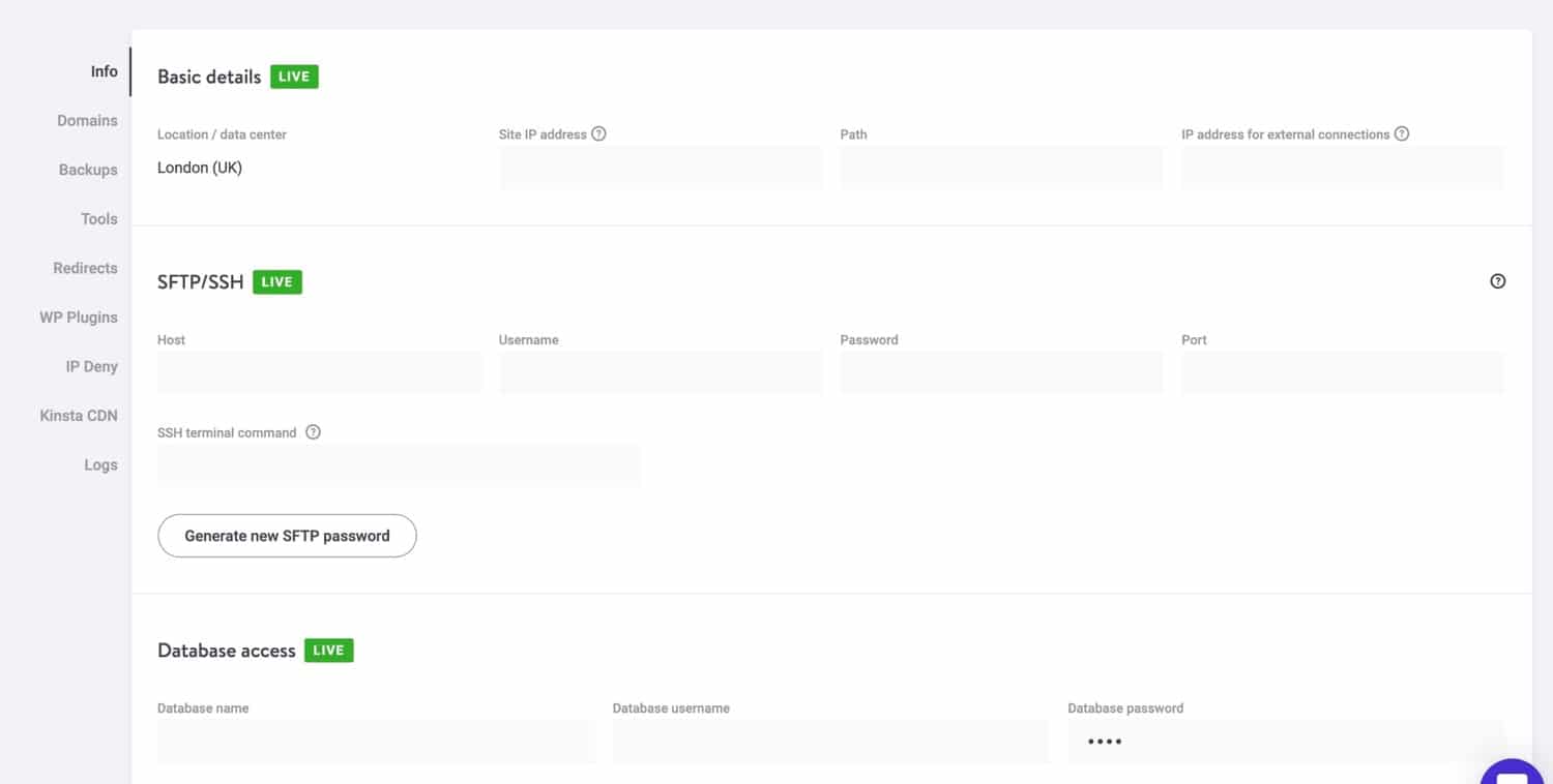 Het info tabblad in MyKinsta