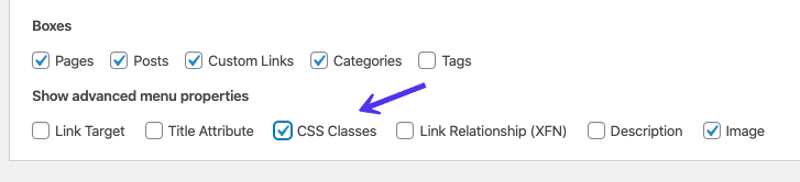 De checkbox CSS-classes in het tabblad Schermopties