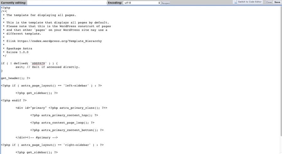 Voorbeeld van page.php code gekopieerd naar een nieuw bestand