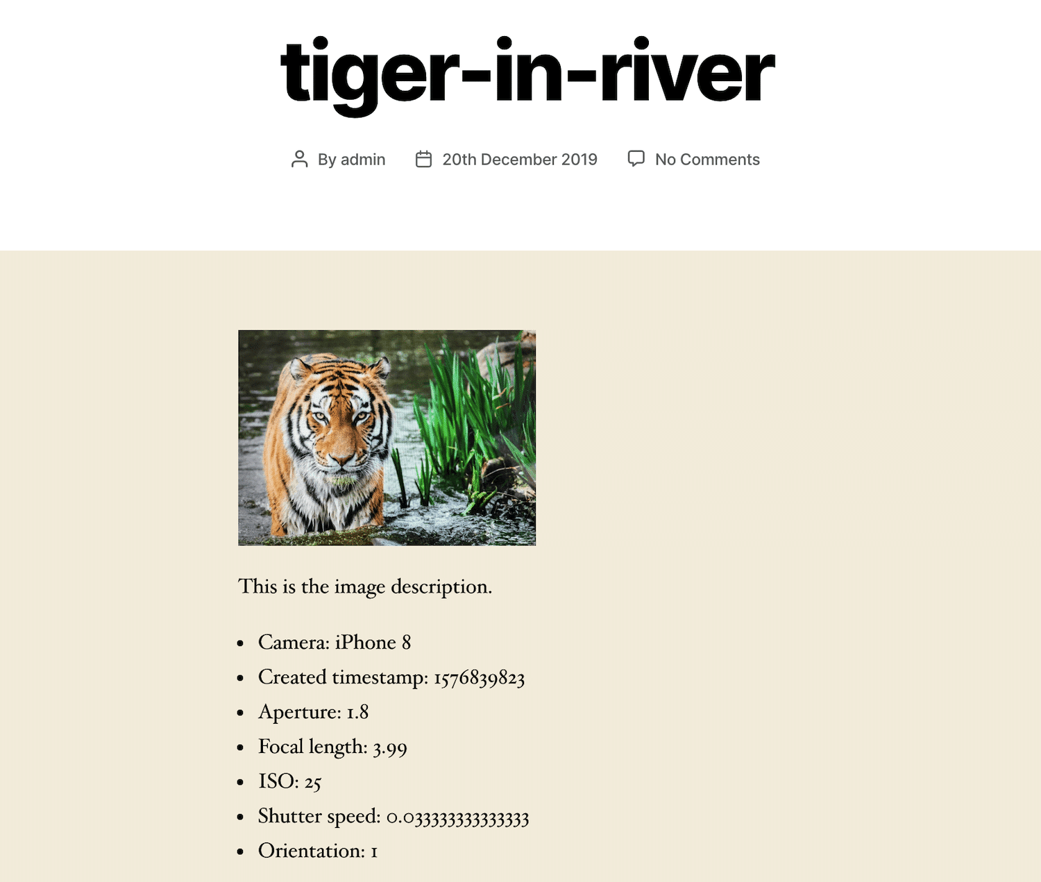 EXIF en IPTC metadata weergegeven op een bijlagepagina