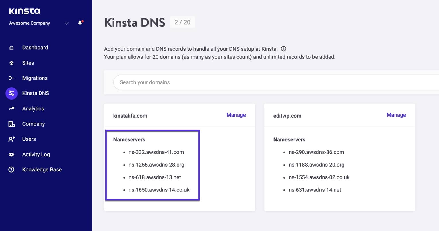 Kinsta DNS nameservers.