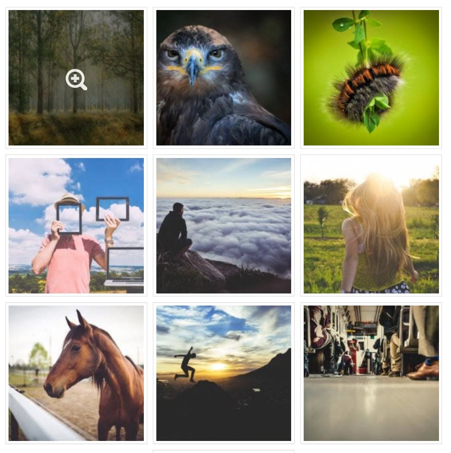 Voorbeeld FooGallery