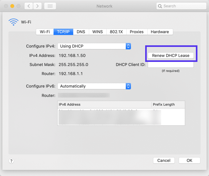 Vernieuwen van DHCP in macOS