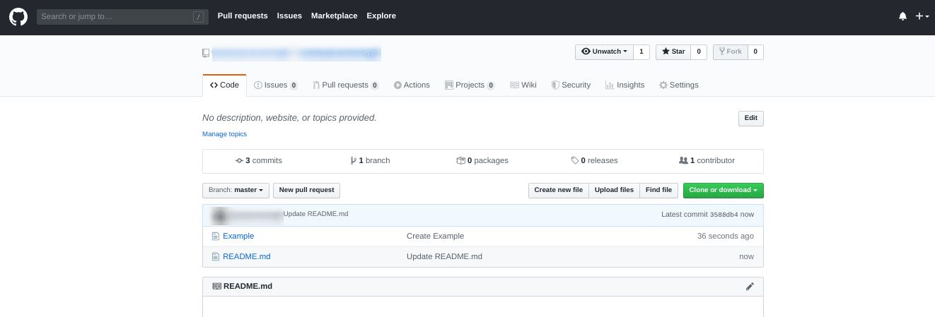 github interface