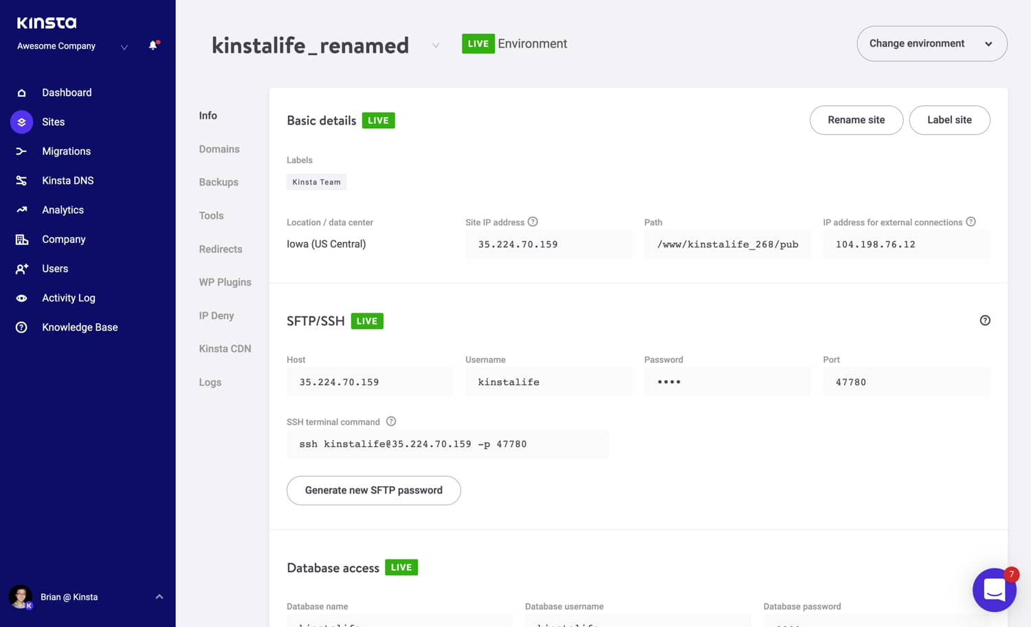 Een voorbeeld van een hernoemde site in MyKinsta.