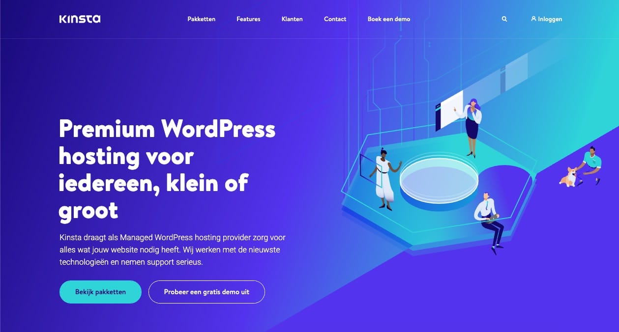 Boven de vouw (Engels: 'Above the fold') op de Kinsta homepage