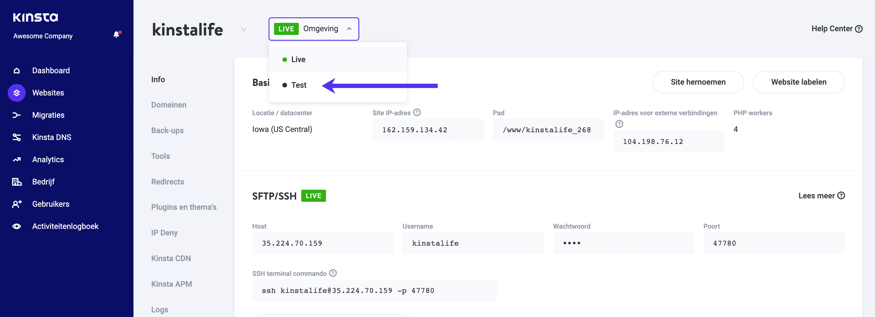 Veranderen naar je WordPress testomgeving in MyKinsta.