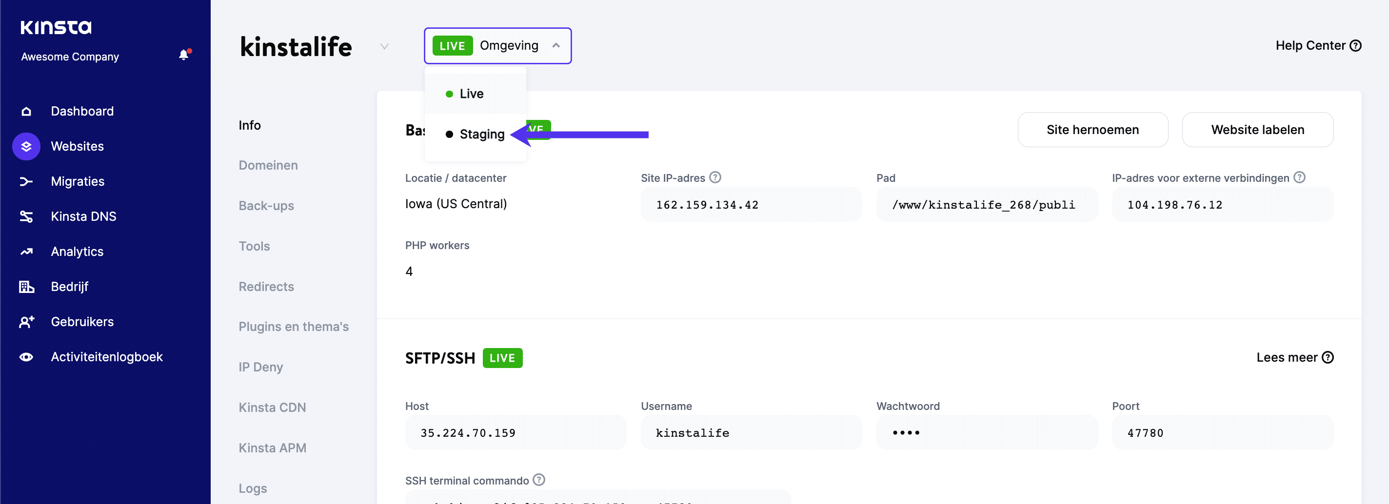 Wijzig je WordPress testomgeving in MyKinsta.