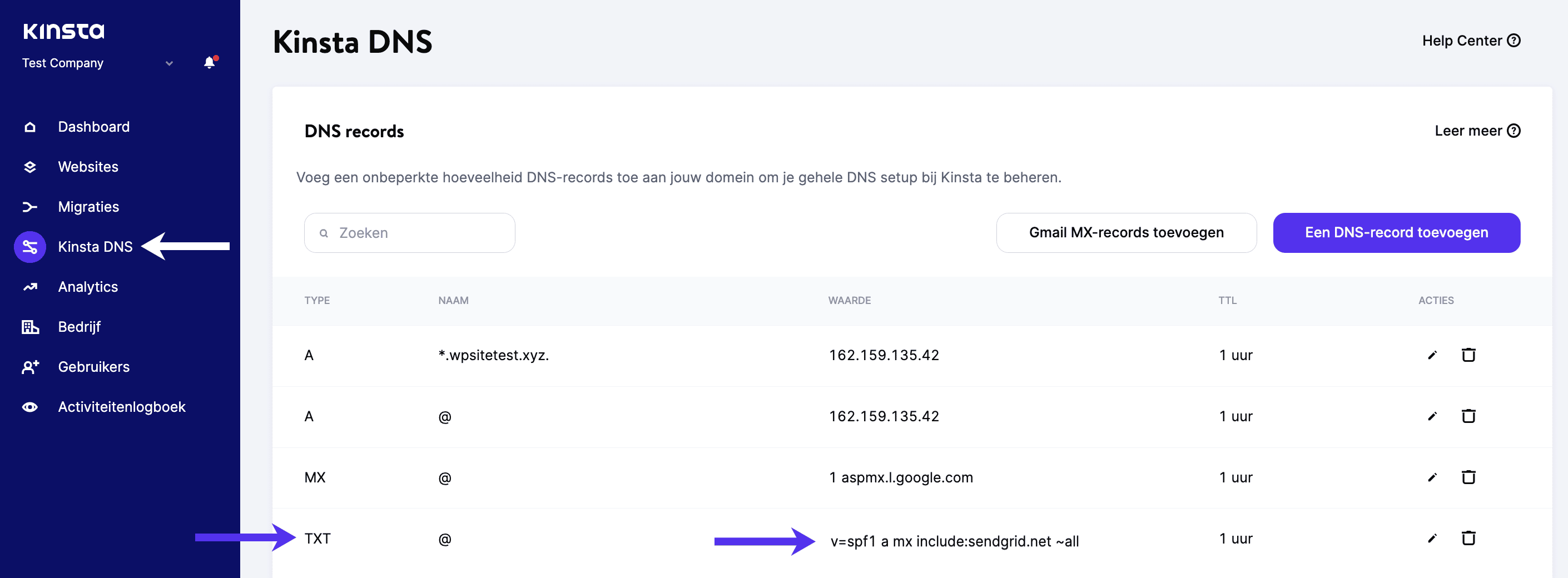 Een SPF TXT record in Kinsta DNS.