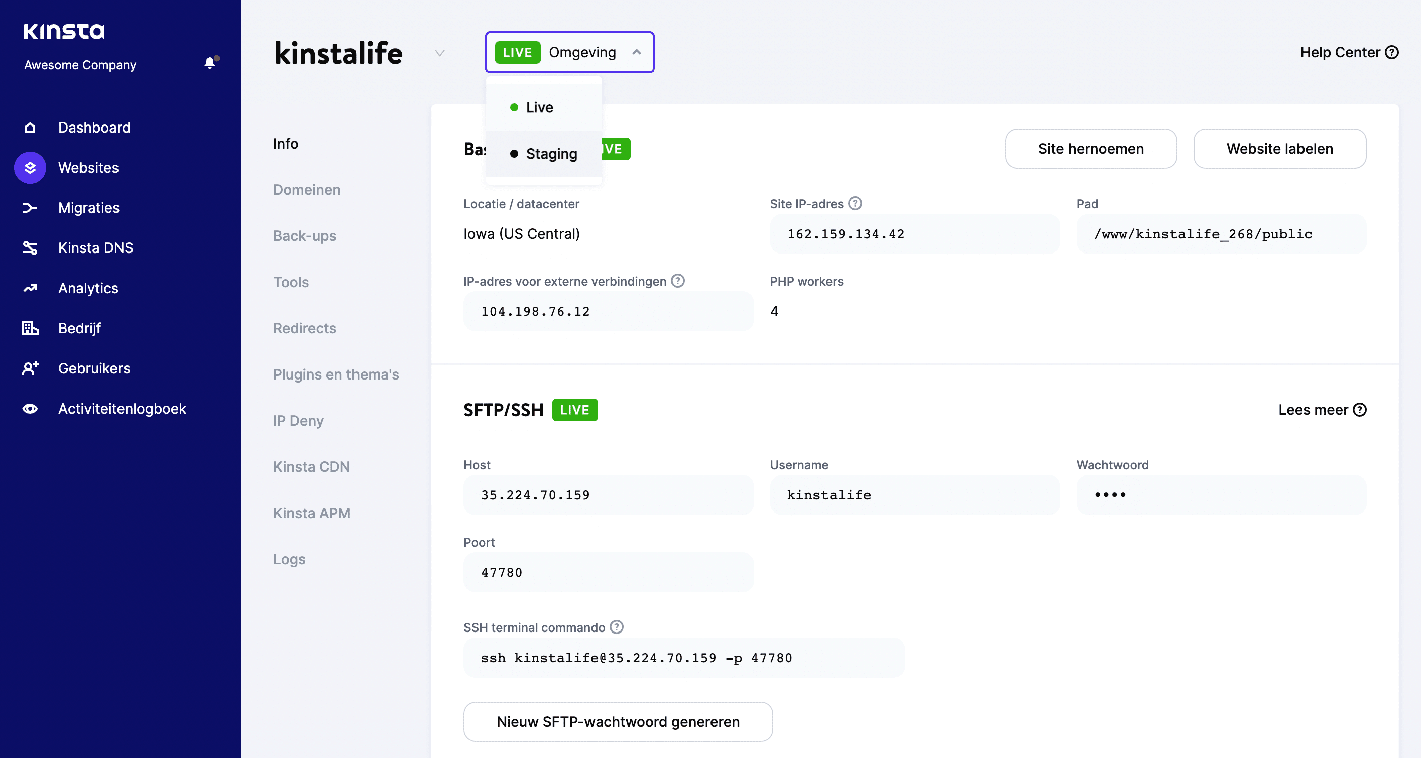 Kinsta's testfeature.