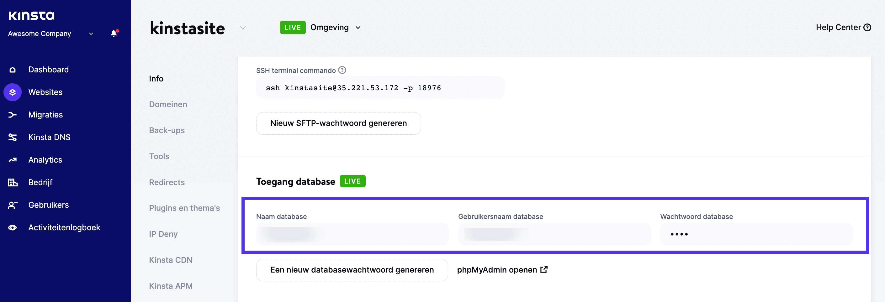 Toegangsgegevens database in MyKinsta.