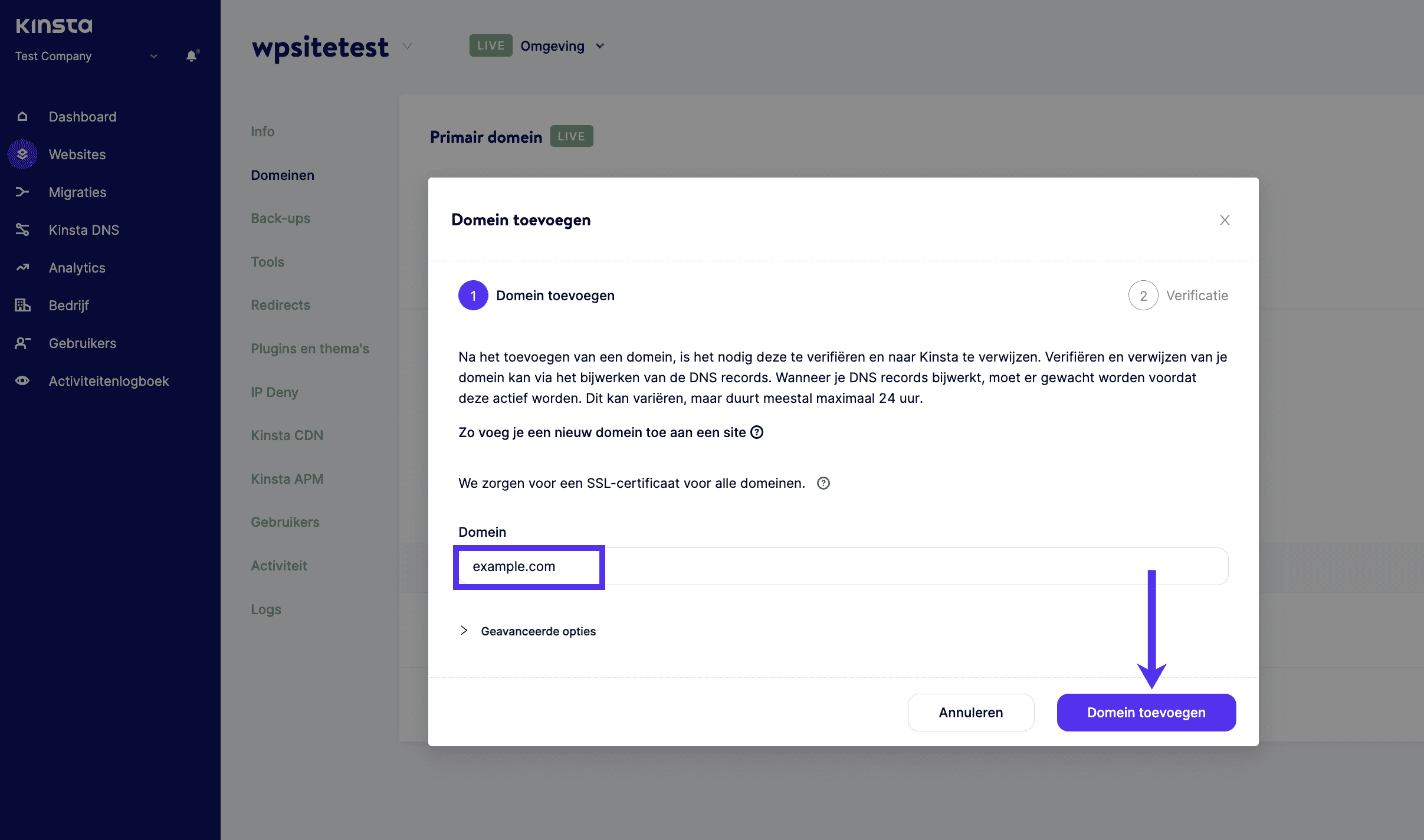 Voeg het aangepaste domein van je subsite toe aan MyKinsta.