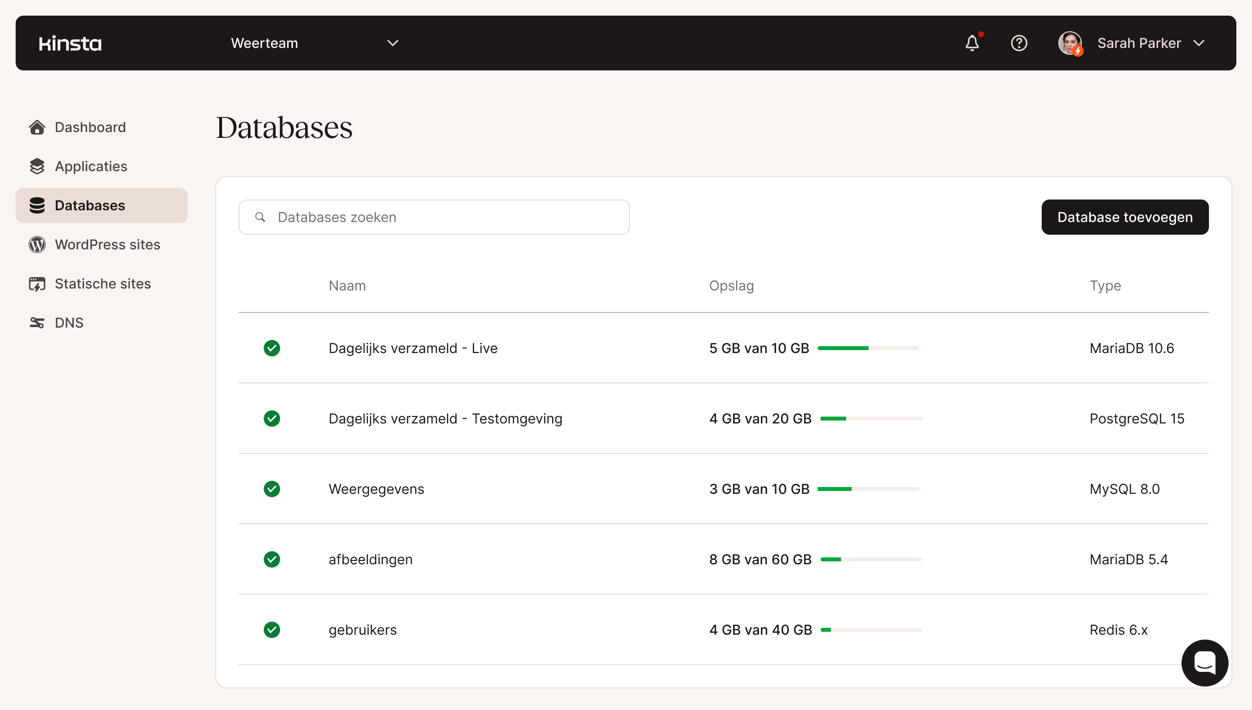 Schermafbeelding van de functionaliteit voor databasebeheer van MyKinsta