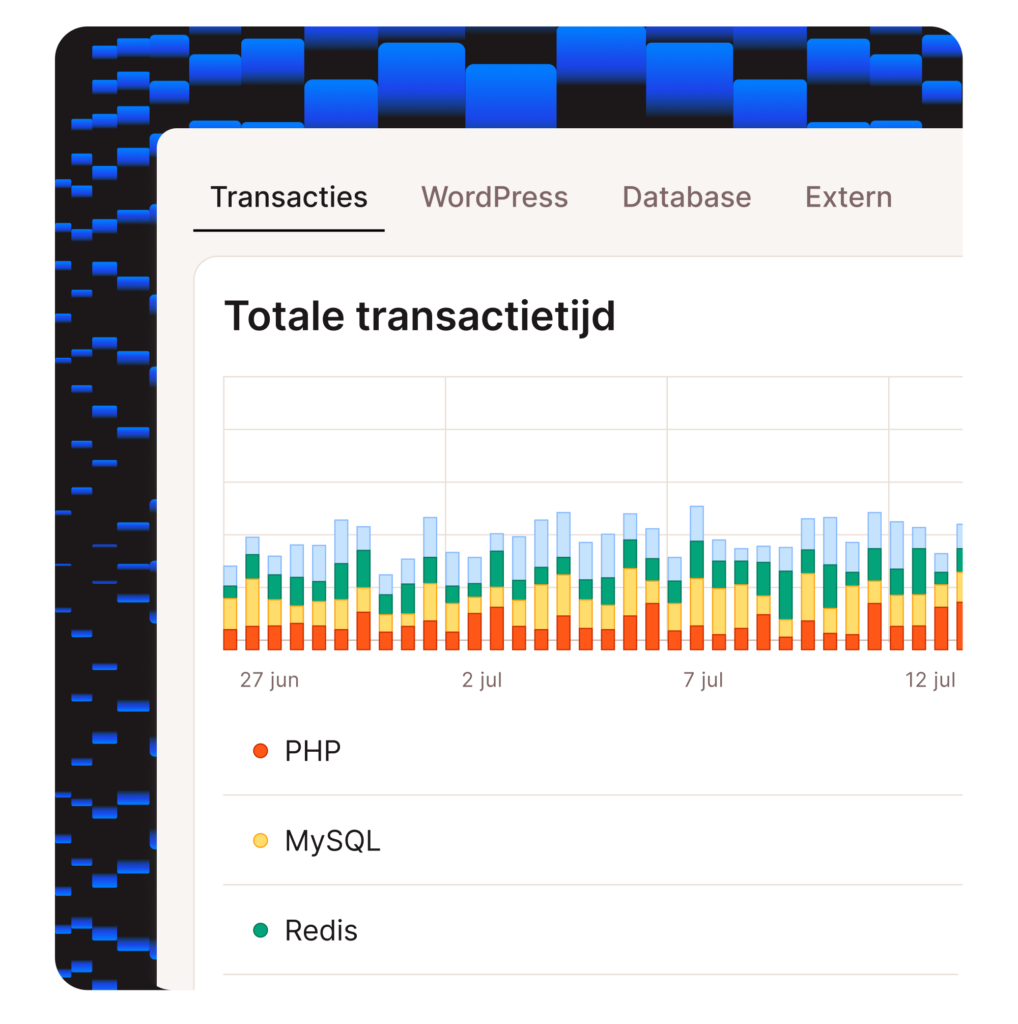Screenshot van transacties in de MyKinsta APM tool