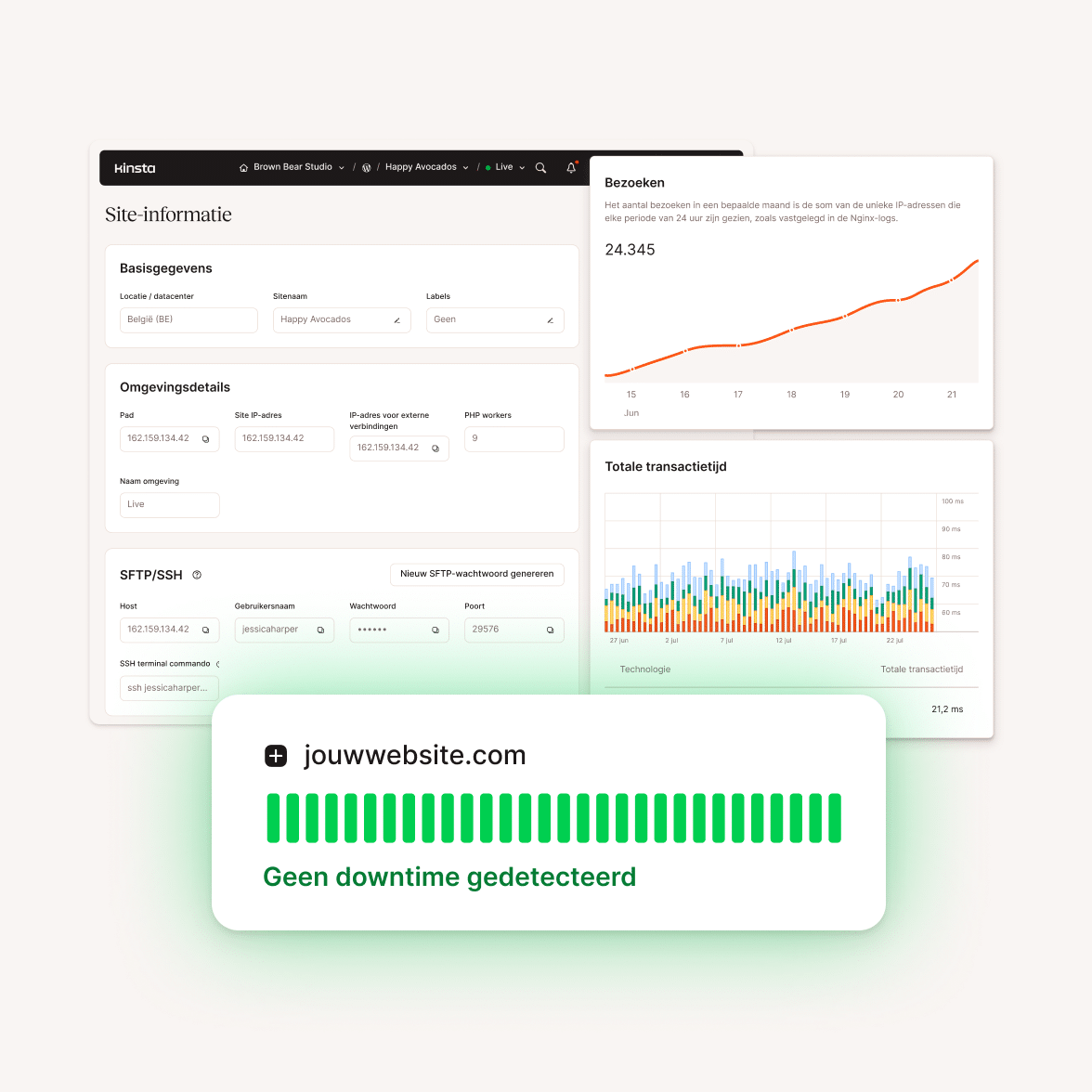 Kinsta hostingplatform