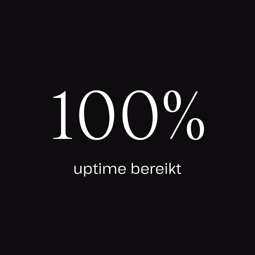 100% uptime dankzij de zakelijke hosting van Kinsta