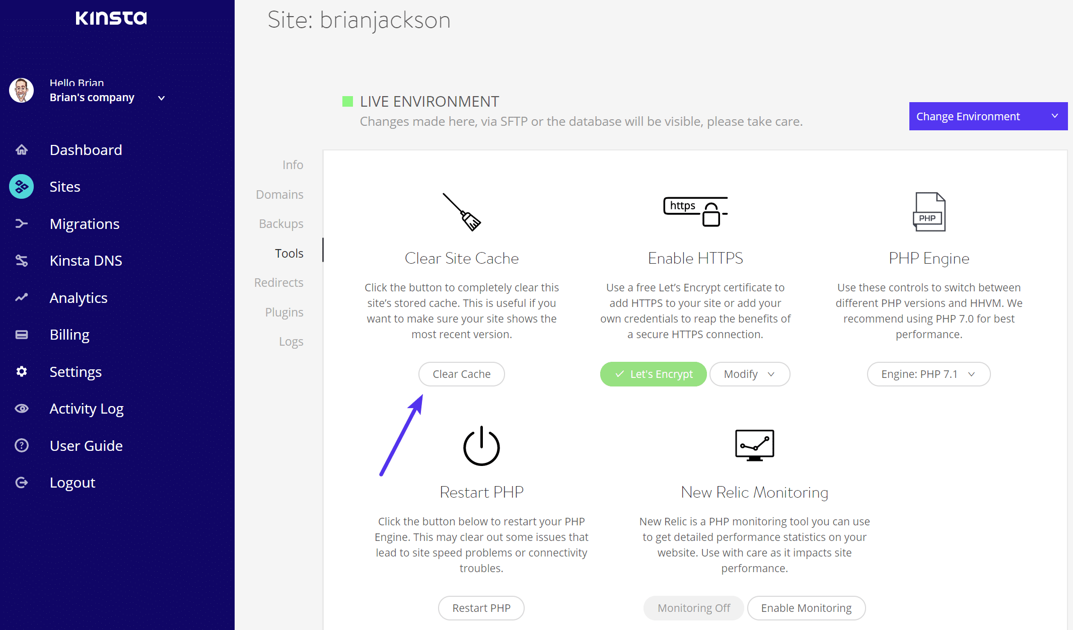 Limpar o cache do WordPress no MyKinsta