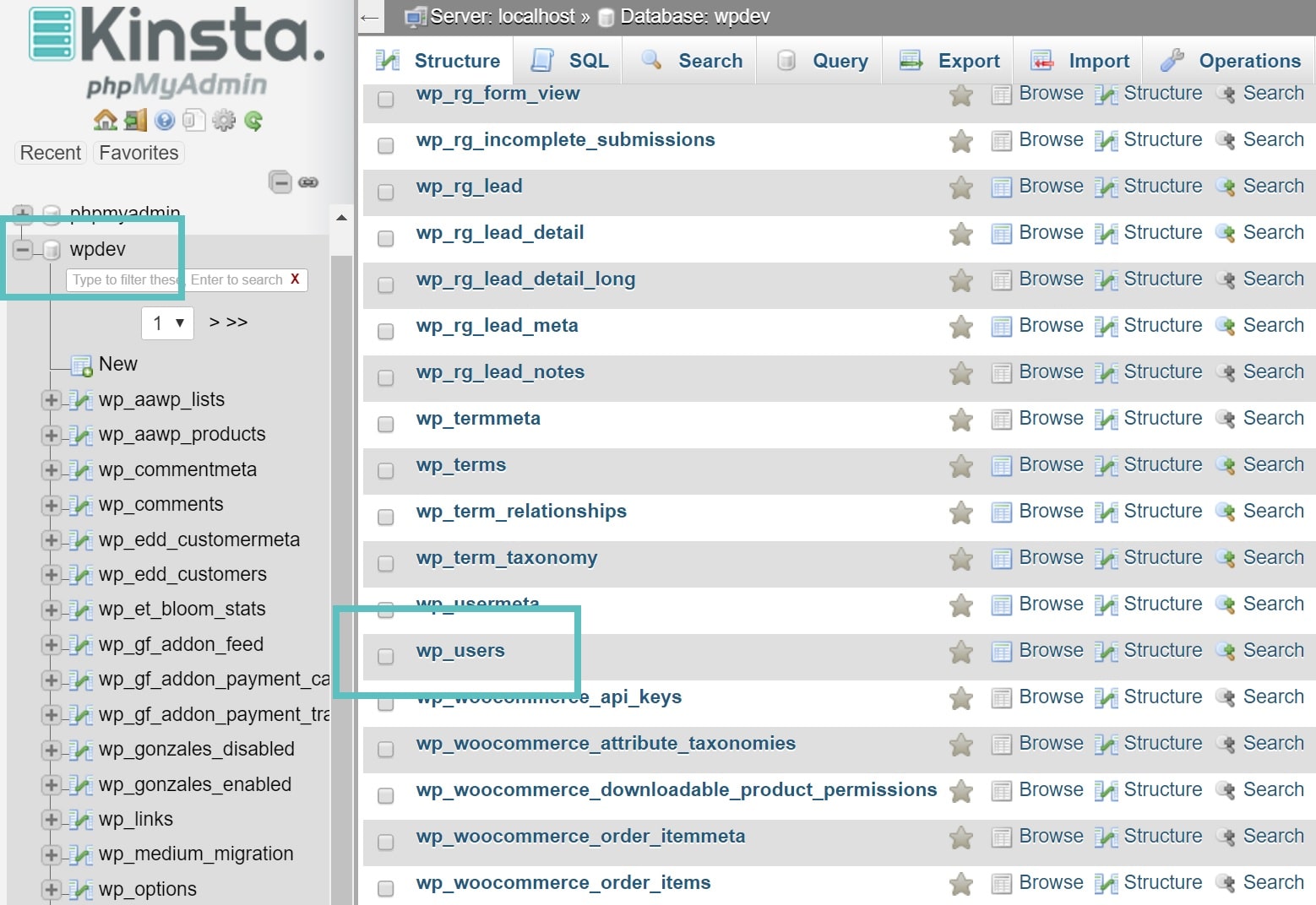 tabela wp_users