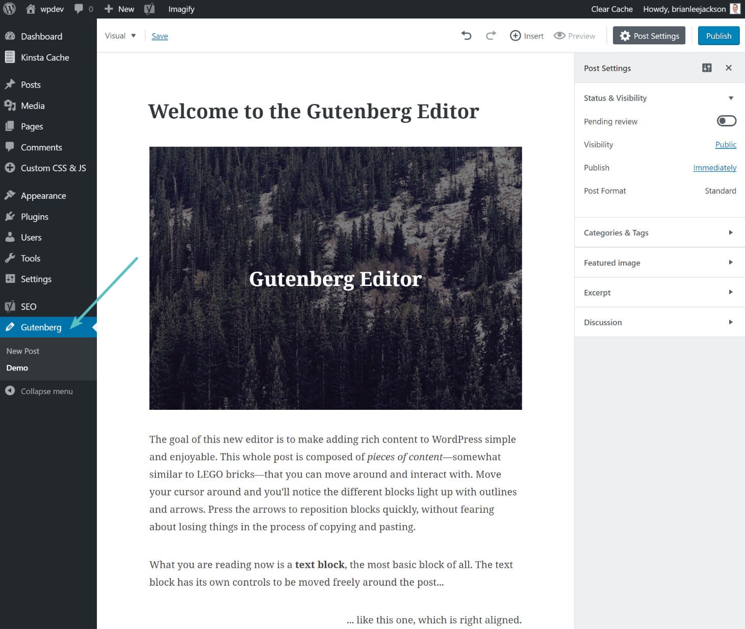 Editor demo do Gutenberg