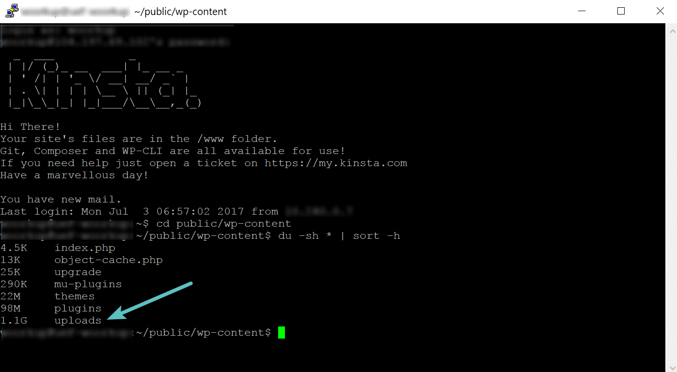 Verifique o uso do disco via SSH