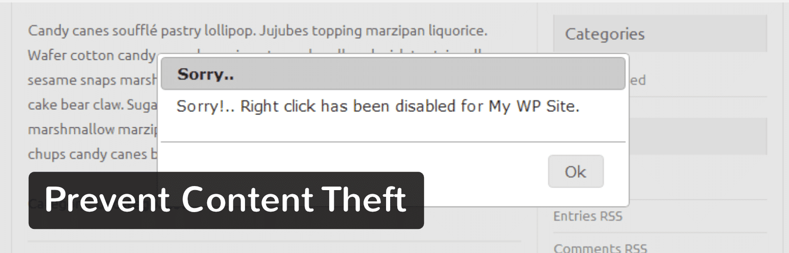 Plugin WordPress Prevent Content Theft