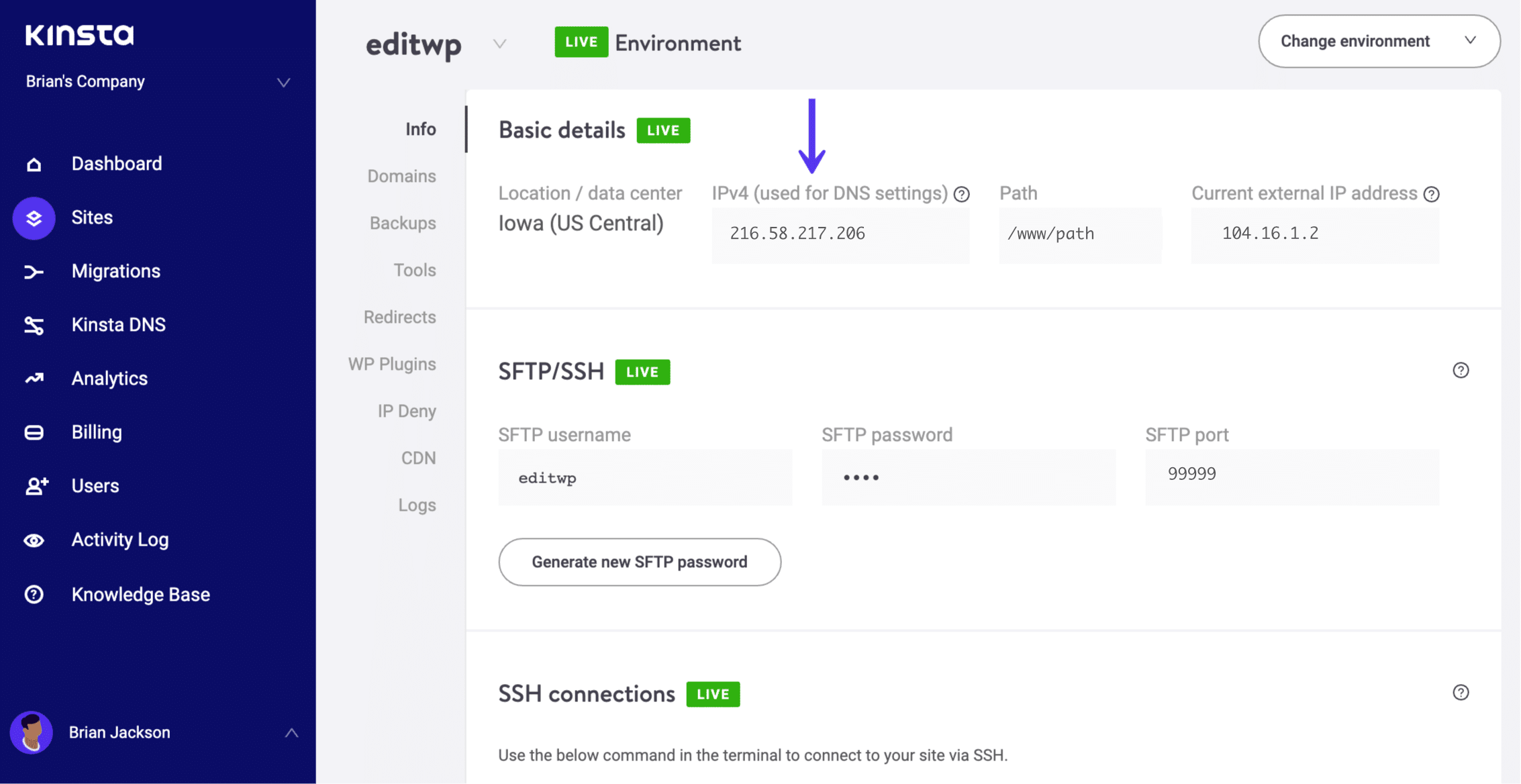 Endereço IPv4 do WordPress