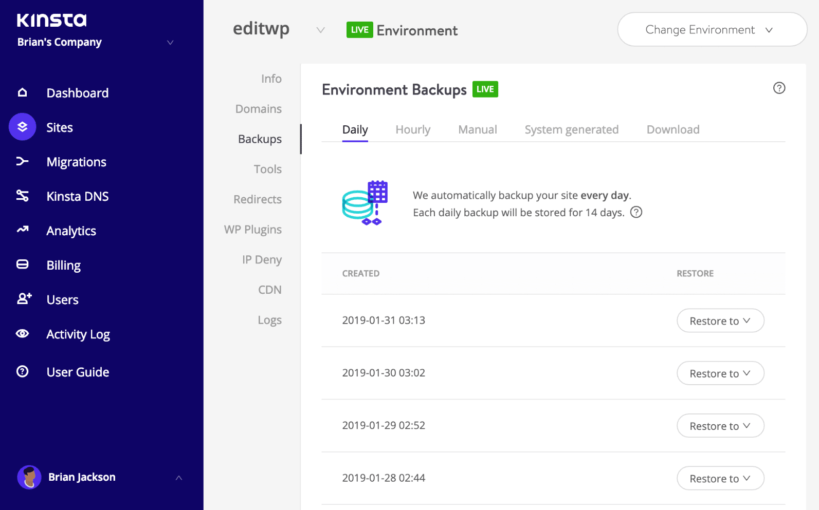 Backups do WordPress