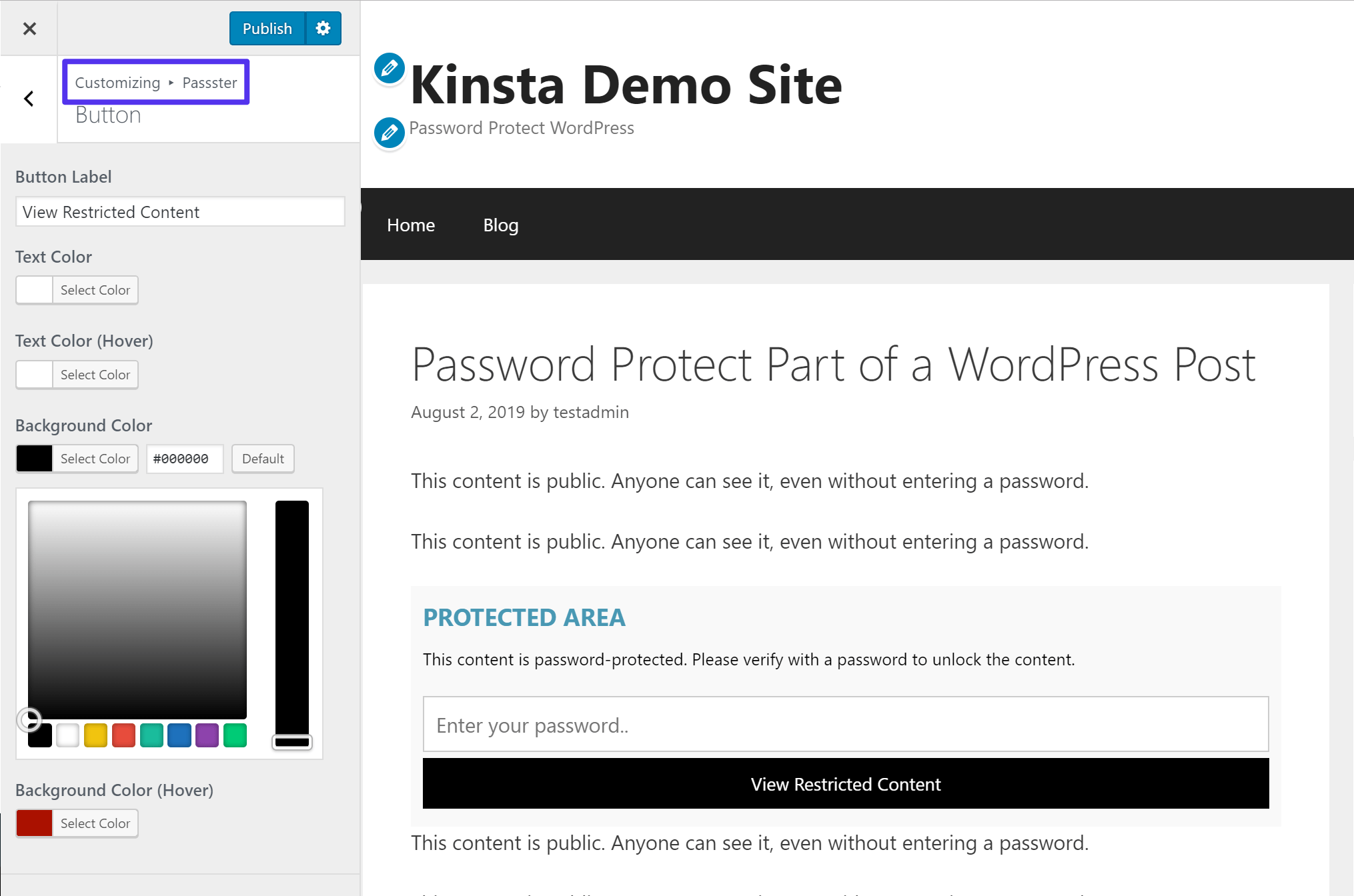 As opções de estilo Passster no WordPress Customizer