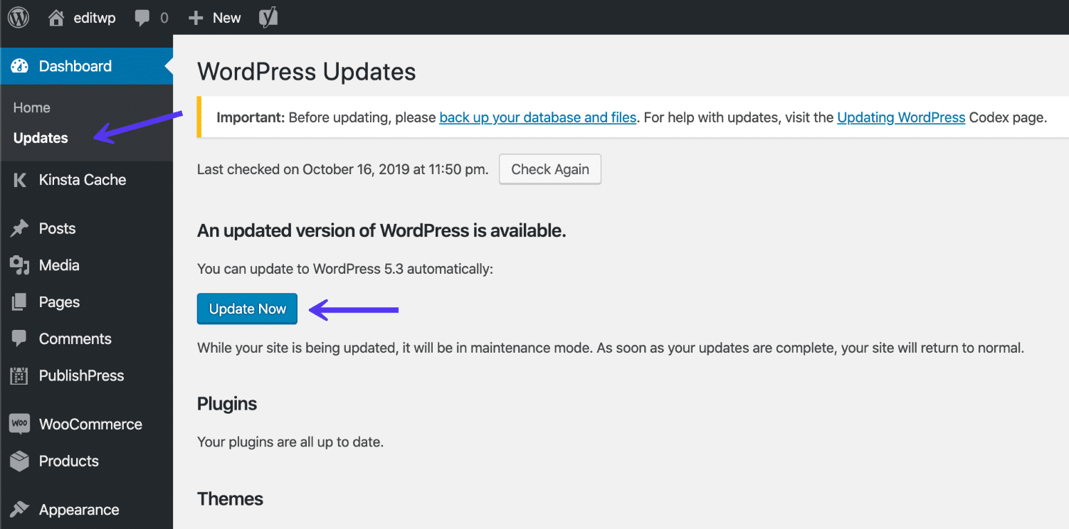 Atualização para o WordPress 5.2 no painel