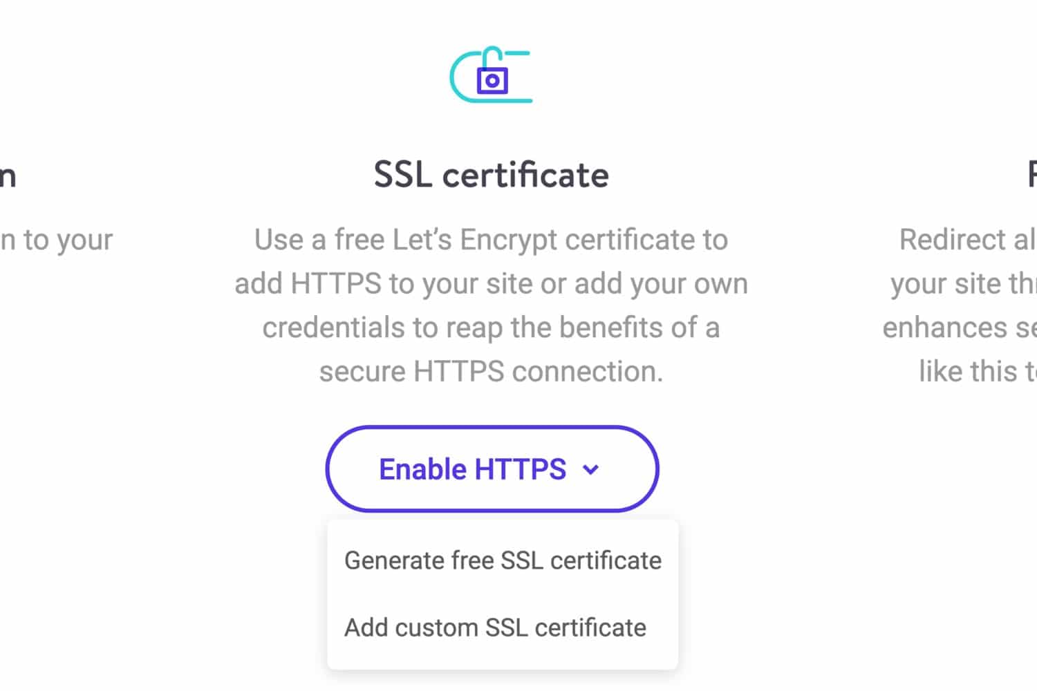 Opções SSL no MyKinsta
