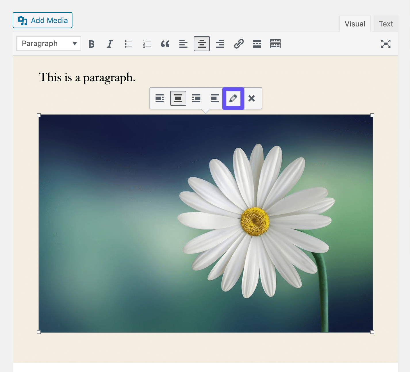 configurações da imagem no Editor Clássico 1