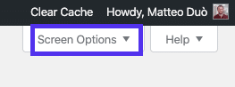 O separador Opções de ecrã no editor de menus