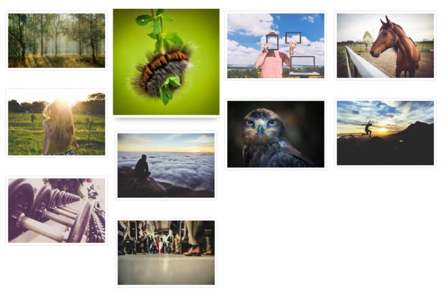 Galeria de Portfolio