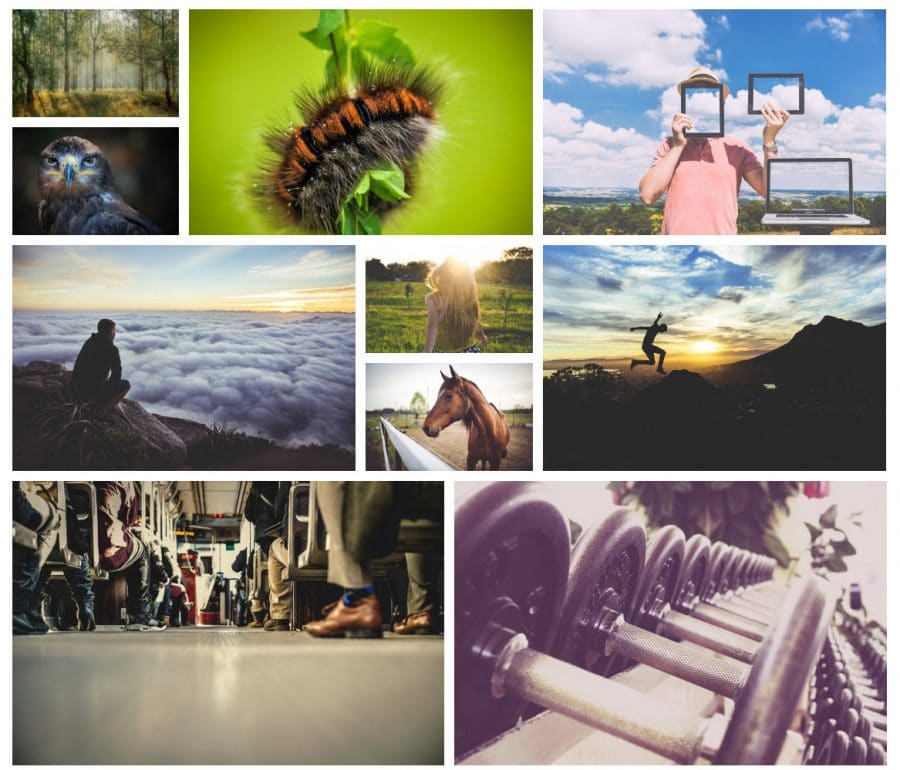 Meow Gallery: Layout de Ladrilhos