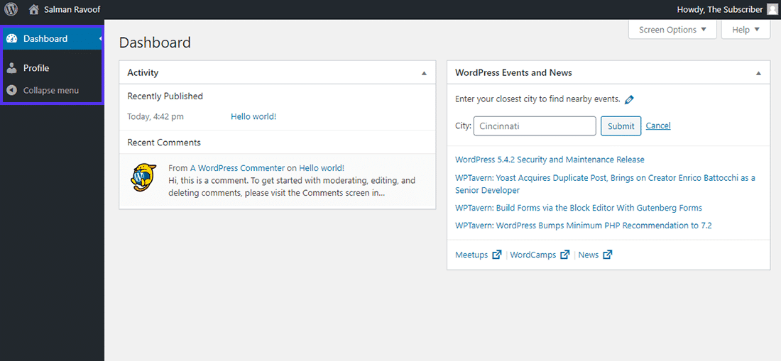 O painel de controle do papel do 'Assinante' no WordPress