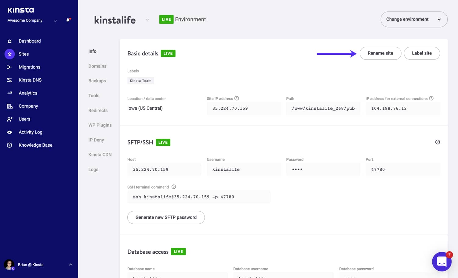 Renomeie seu site Kinsta WordPress.