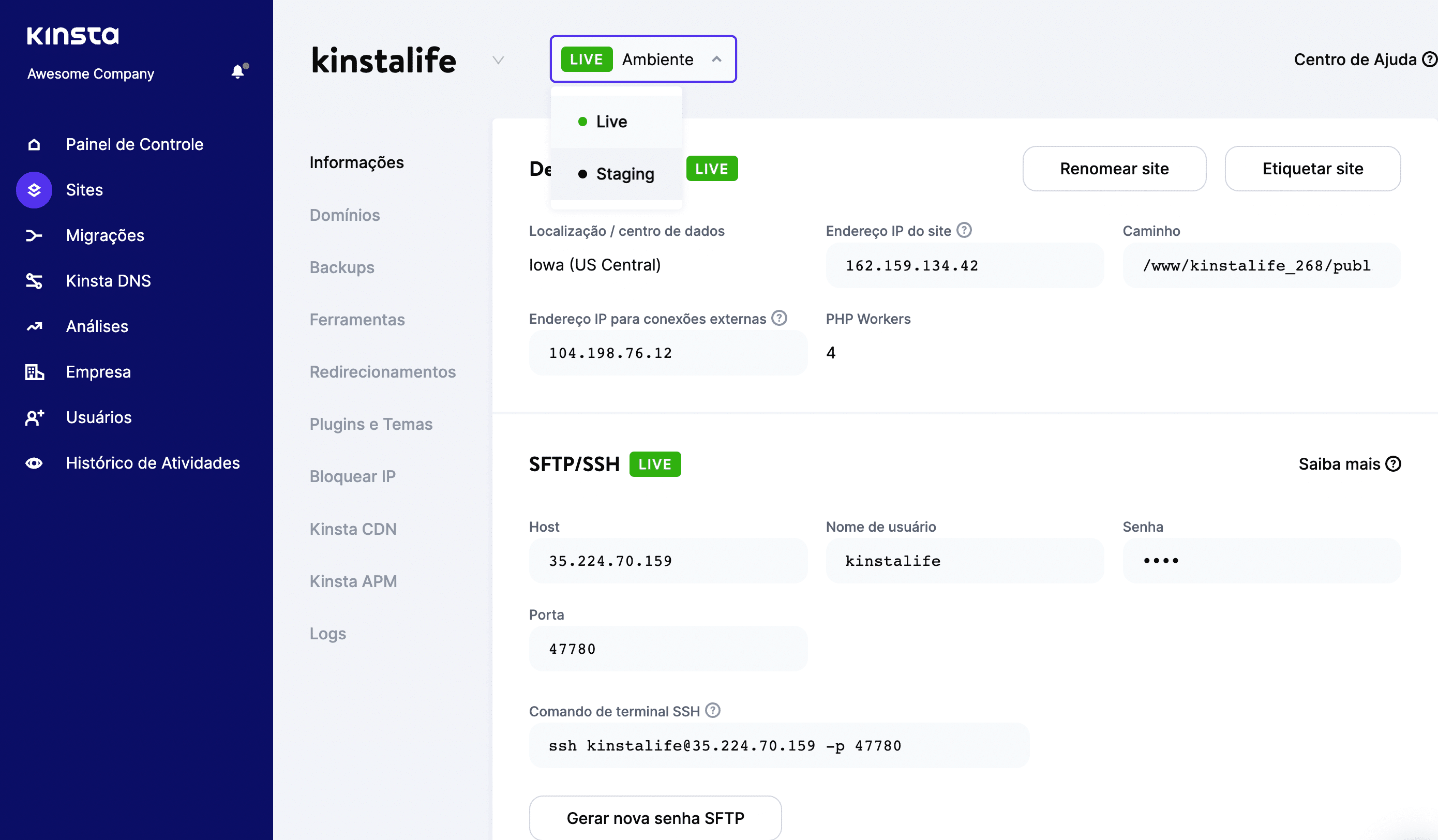 O recurso de teste da Kinsta.