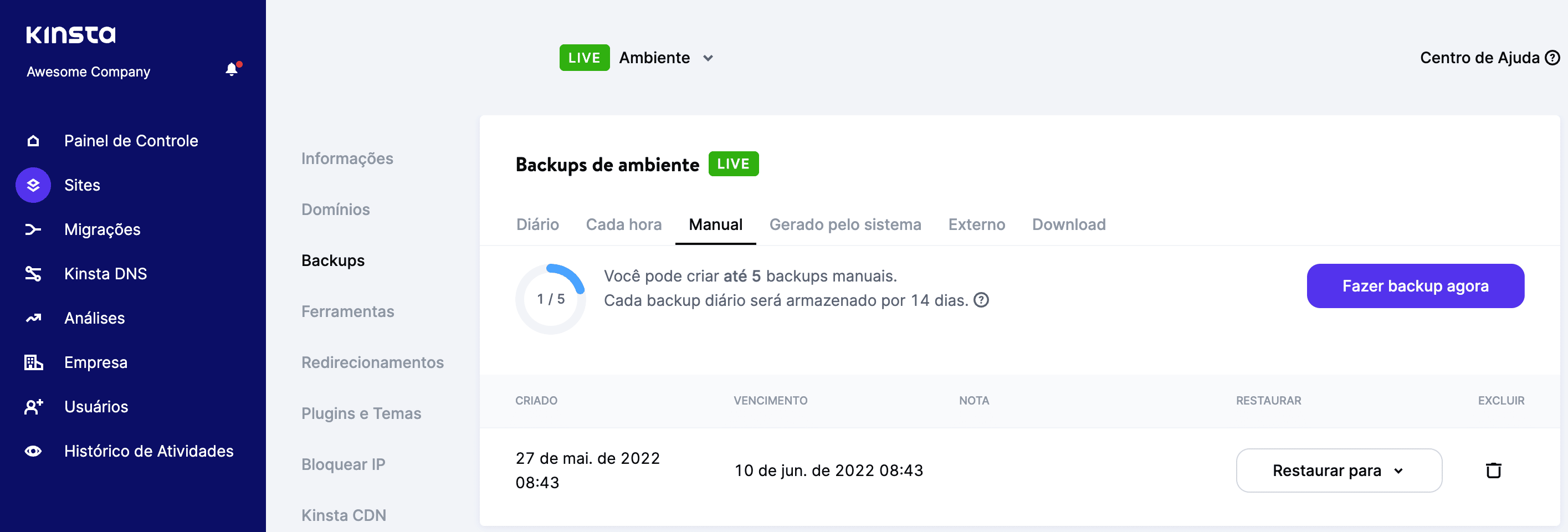 MyKinsta exibe uma lista de todos os backups