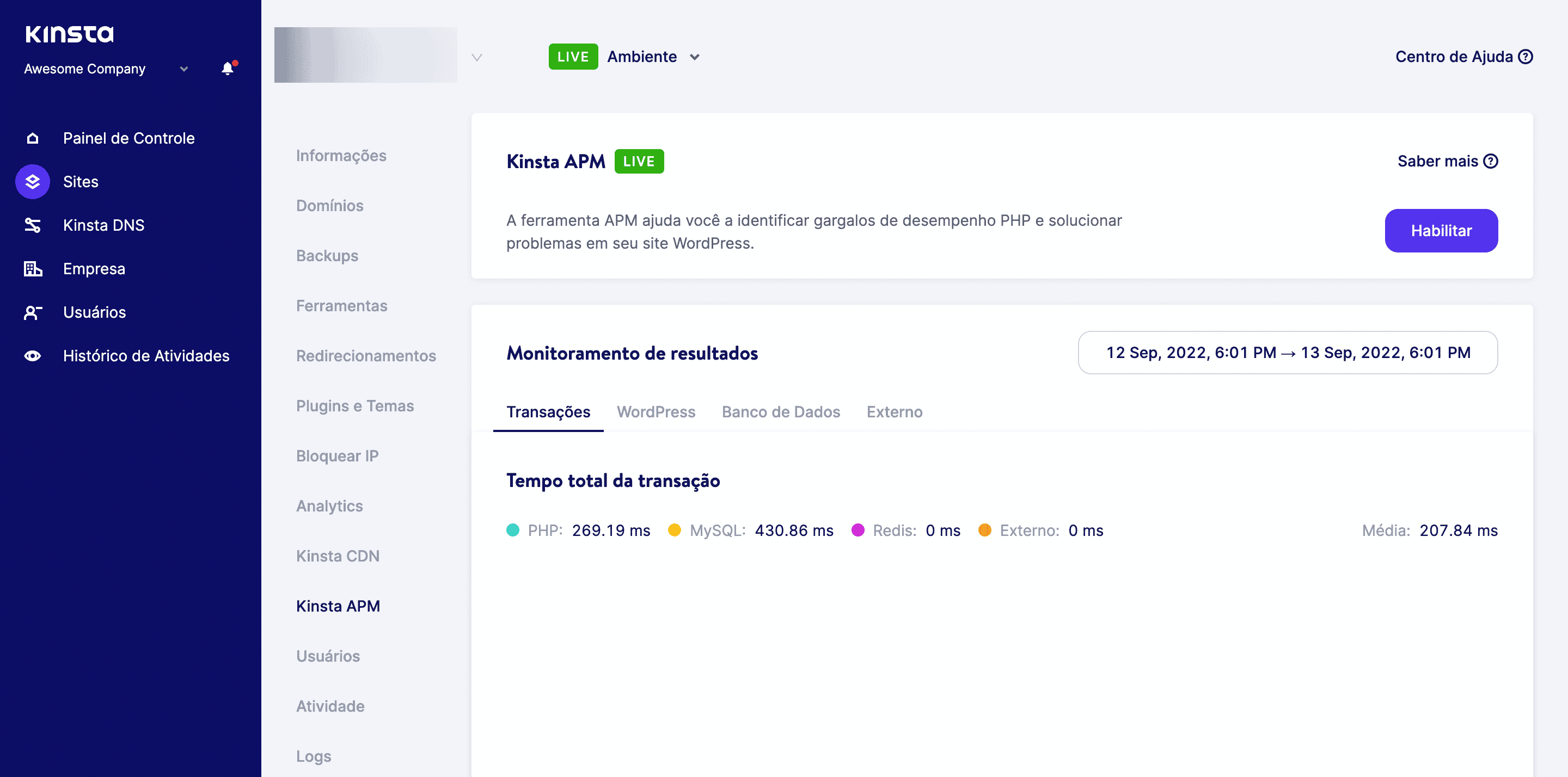 Kinsta APM tool