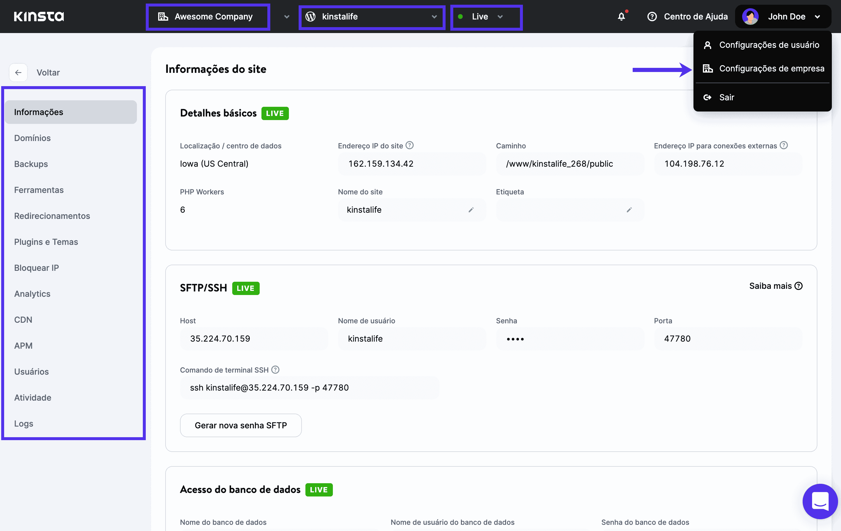 Uma visão de nível do site no novo painel MyKinsta