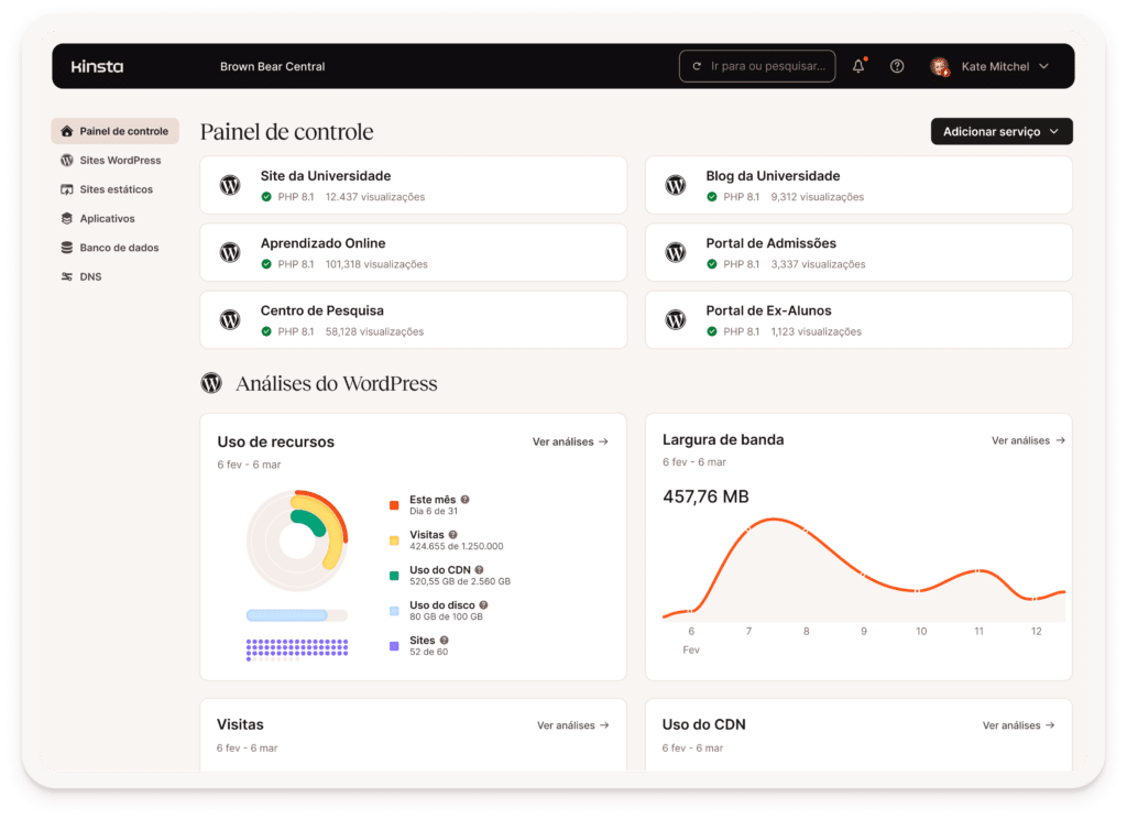 Painel de controle do cliente de educação na Kinsta usando multisite