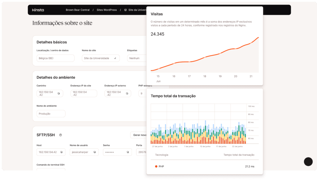 Painel de Controle MyKinsta