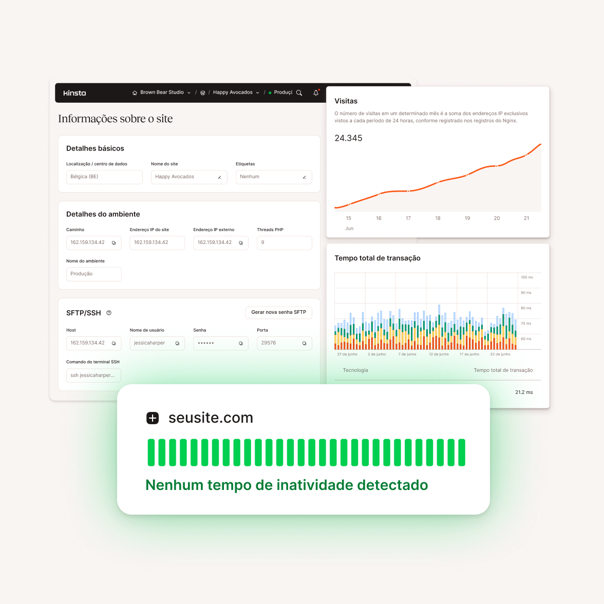 Kinsta hosting platform