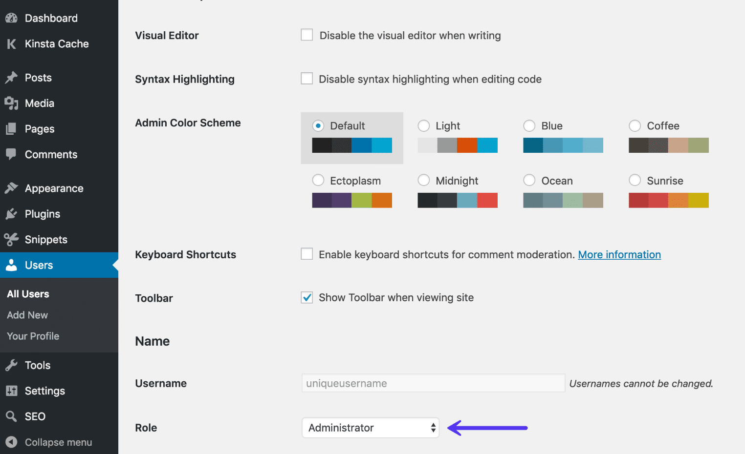 WordPress administratörsroll