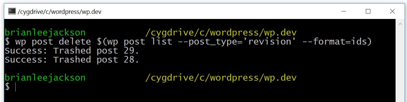 WP-CLI ta bort WordPress-revideringar